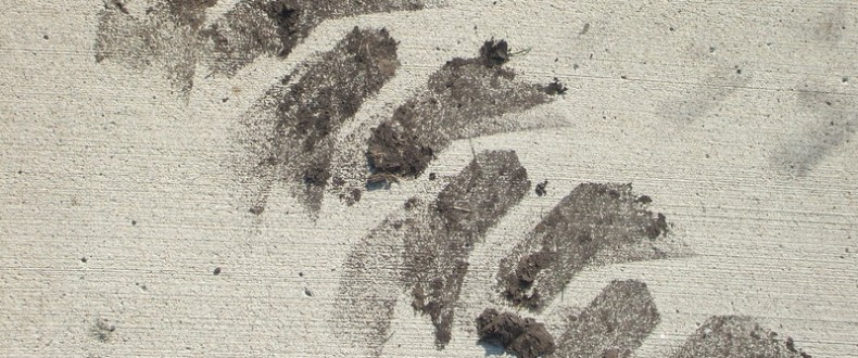 Tire Tracks  2 By Trippy CS